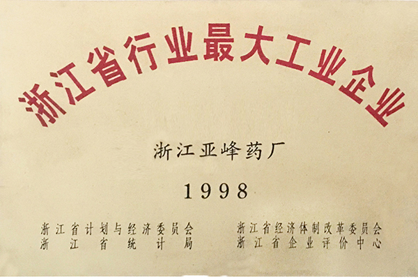 1998年省行業(yè)最大工業(yè)企業(yè)